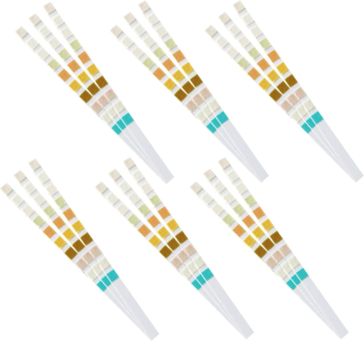 URS-10T Urine Test Strips 10 P - огляд і ціна Urinalysis Reagent Strip